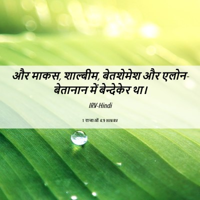 Picture 06 - 1 राजाओं 4:9 HINIRV - और माकस, शाल्बीम, - Bible Verse Picture