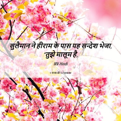 Picture 06 - 1 राजाओं 5:2 HINIRV - सुलैमान ने हीराम - Bible Verse Picture