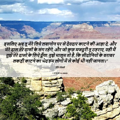 Picture 06 - 1 राजाओं 5:6 HINIRV - इसलिए अब तू मेरे - Bible Verse Picture