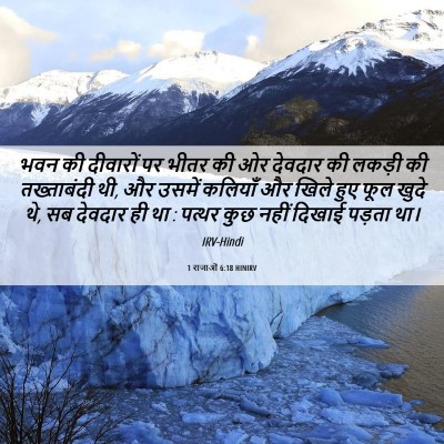 Picture 06 - 1 राजाओं 6:18 HINIRV - भवन की दीवारों पर - Bible Verse Picture