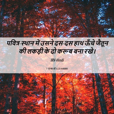 Picture 06 - 1 राजाओं 6:23 HINIRV - पवित्र-स्थान में - Bible Verse Picture