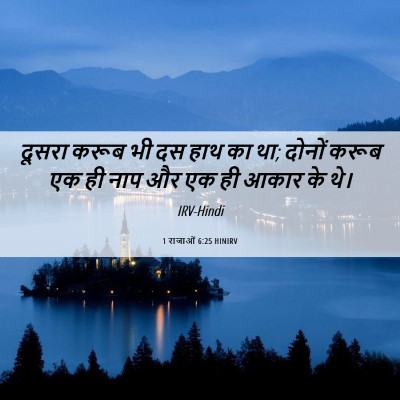Picture 06 - 1 राजाओं 6:25 HINIRV - दूसरा करूब भी दस - Bible Verse Picture
