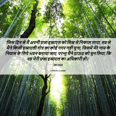 Picture 06 - 1 राजाओं 8:16 HINIRV - 'जिस दिन से मैं - Bible Verse Picture