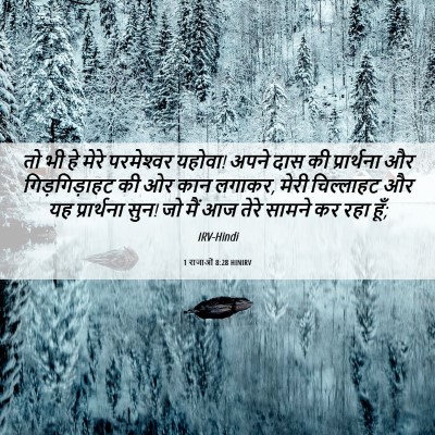 Picture 06 - 1 राजाओं 8:28 HINIRV - तो भी हे मेरे - Bible Verse Picture