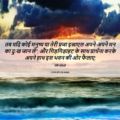 Picture 06 - 1 राजाओं 8:38 HINIRV - तब यदि कोई मनुष्य - Bible Verse Picture