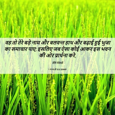 Picture 06 - 1 राजाओं 8:42 HINIRV - वह तो तेरे बड़े नाम - Bible Verse Picture