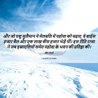 Picture 06 - 1 राजाओं 8:63 HINIRV - और जो पशु सुलैमान - Bible Verse Picture