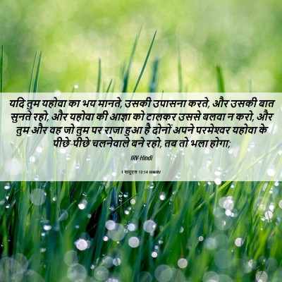 Picture 06 - 1 शमूएल 12:14 HINIRV - यदि तुम यहोवा का भय - Bible Verse Picture