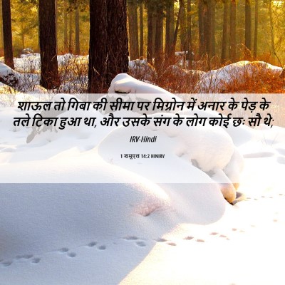 Picture 06 - 1 शमूएल 14:2 HINIRV - शाऊल तो गिबा की - Bible Verse Picture
