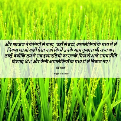 Picture 06 - 1 शमूएल 15:6 HINIRV - और शाऊल ने केनियों - Bible Verse Picture