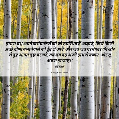 Picture 06 - 1 शमूएल 16:16 HINIRV - हमारा प्रभु अपने - Bible Verse Picture