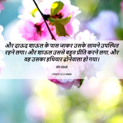 Picture 06 - 1 शमूएल 16:21 HINIRV - और दाऊद शाऊल के पास - Bible Verse Picture