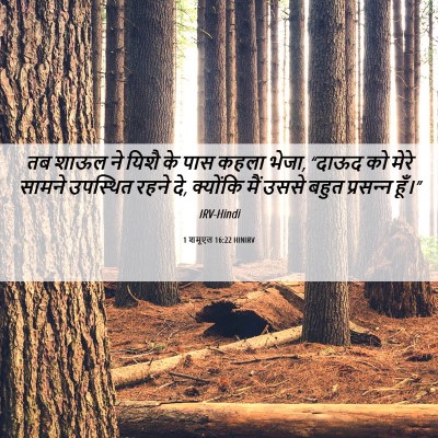 Picture 06 - 1 शमूएल 16:22 HINIRV - तब शाऊल ने यिशै के - Bible Verse Picture