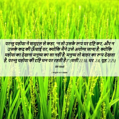 Picture 06 - 1 शमूएल 16:7 HINIRV - परन्तु यहोवा ने - Bible Verse Picture