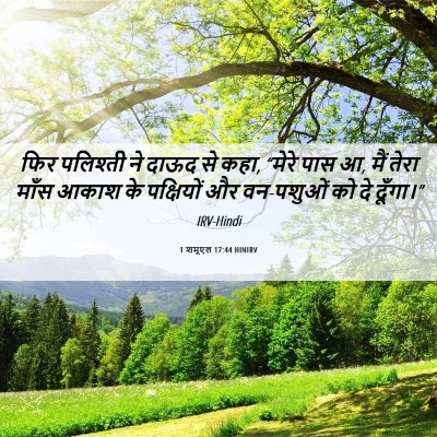 Picture 06 - 1 शमूएल 17:44 HINIRV - फिर पलिश्ती ने - Bible Verse Picture