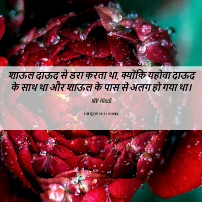 Picture 06 - 1 शमूएल 18:12 HINIRV - शाऊल दाऊद से डरा - Bible Verse Picture