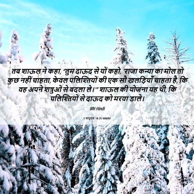 Picture 06 - 1 शमूएल 18:25 HINIRV - तब शाऊल ने कहा, - Bible Verse Picture