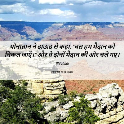 Picture 06 - 1 शमूएल 20:11 HINIRV - योनातान ने दाऊद से - Bible Verse Picture