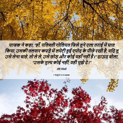 Picture 06 - 1 शमूएल 21:9 HINIRV - याजक ने कहा, “हाँ, - Bible Verse Picture