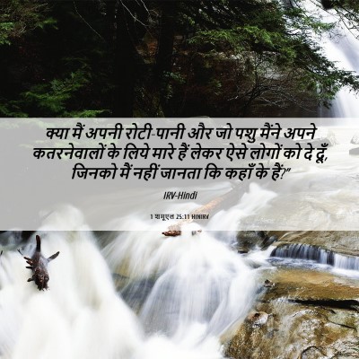 Picture 06 - 1 शमूएल 25:11 HINIRV - क्या मैं अपनी - Bible Verse Picture