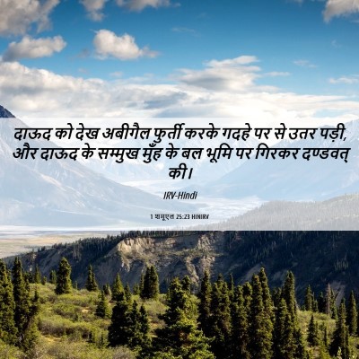 Picture 06 - 1 शमूएल 25:23 HINIRV - दाऊद को देख अबीगैल - Bible Verse Picture