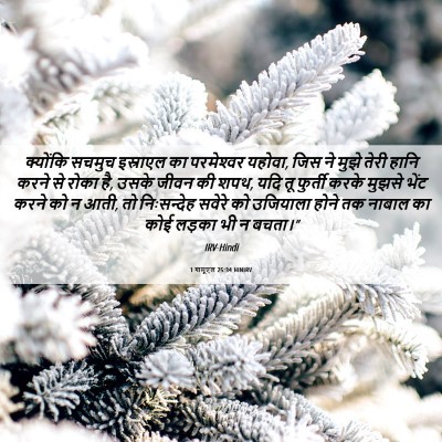 Picture 06 - 1 शमूएल 25:34 HINIRV - क्योंकि सचमुच - Bible Verse Picture