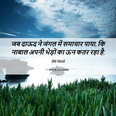 Picture 06 - 1 शमूएल 25:4 HINIRV - जब दाऊद ने जंगल में - Bible Verse Picture