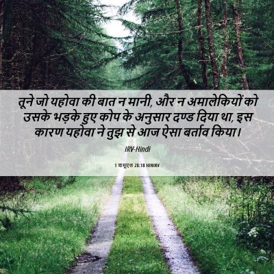 Picture 06 - 1 शमूएल 28:18 HINIRV - तूने जो यहोवा की - Bible Verse Picture
