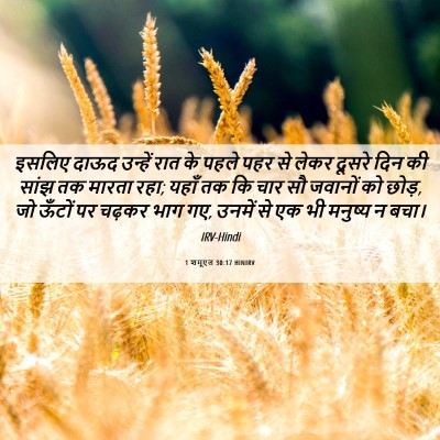 Picture 06 - 1 शमूएल 30:17 HINIRV - इसलिए दाऊद उन्हें - Bible Verse Picture