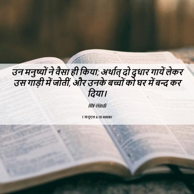 Picture 06 - 1 शमूएल 6:10 HINIRV - उन मनुष्यों ने - Bible Verse Picture