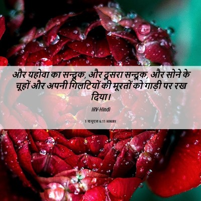 Picture 06 - 1 शमूएल 6:11 HINIRV - और यहोवा का सन्दूक, - Bible Verse Picture