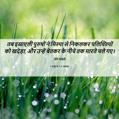 Picture 06 - 1 शमूएल 7:11 HINIRV - तब इस्राएली - Bible Verse Picture