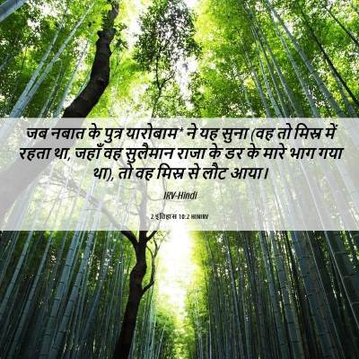 Picture 06 - 2 इतिहास 10:2 HINIRV - जब नबात के पुत्र - Bible Verse Picture