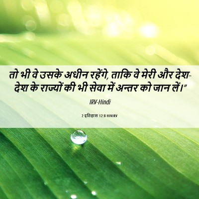 Picture 06 - 2 इतिहास 12:8 HINIRV - तो भी वे उसके अधीन - Bible Verse Picture