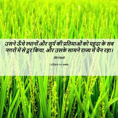 Picture 06 - 2 इतिहास 14:5 HINIRV - उसने ऊँचे स्थानों - Bible Verse Picture