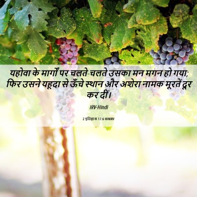 Picture 06 - 2 इतिहास 17:6 HINIRV - यहोवा के मार्गों - Bible Verse Picture