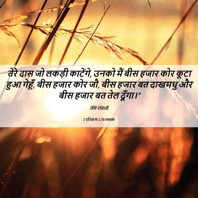 Picture 06 - 2 इतिहास 2:10 HINIRV - तेरे दास जो लकड़ी - Bible Verse Picture