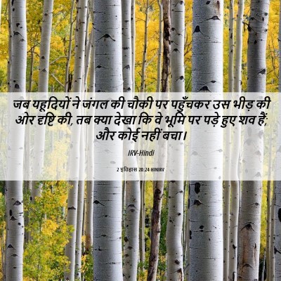 Picture 06 - 2 इतिहास 20:24 HINIRV - जब यहूदियों ने - Bible Verse Picture