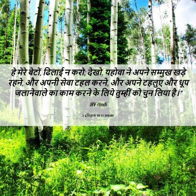 Picture 06 - 2 इतिहास 29:11 HINIRV - हे मेरे बेटों, - Bible Verse Picture