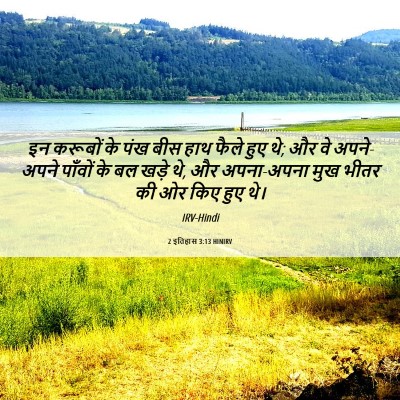 Picture 06 - 2 इतिहास 3:13 HINIRV - इन करूबों के पंख - Bible Verse Picture
