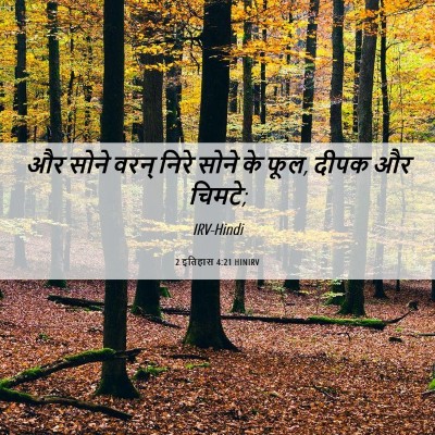 Picture 06 - 2 इतिहास 4:21 HINIRV - और सोने वरन् निरे - Bible Verse Picture