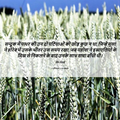 Picture 06 - 2 इतिहास 5:10 HINIRV - सन्दूक में पत्थर - Bible Verse Picture