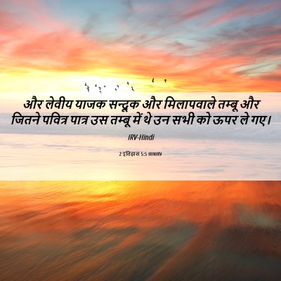 Picture 06 - 2 इतिहास 5:5 HINIRV - और लेवीय याजक - Bible Verse Picture