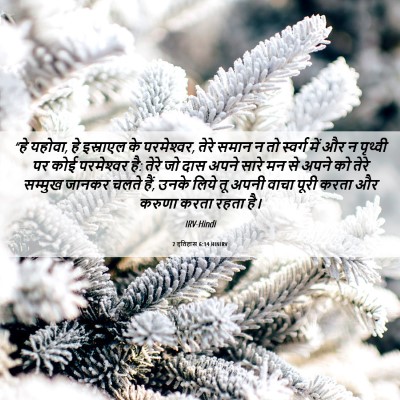 Picture 06 - 2 इतिहास 6:14 HINIRV - “हे यहोवा, हे - Bible Verse Picture