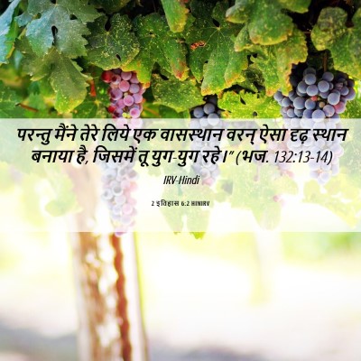 Picture 06 - 2 इतिहास 6:2 HINIRV - परन्तु मैंने तेरे - Bible Verse Picture