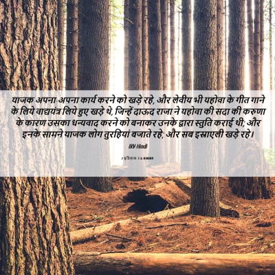 Picture 06 - 2 इतिहास 7:6 HINIRV - याजक अपना-अपना - Bible Verse Picture