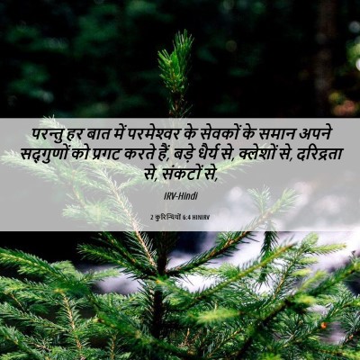 Picture 06 - 2 कुरिन्थियों 6:4 HINIRV - परन्तु हर बात में - Bible Verse Picture