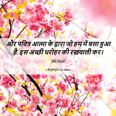 Picture 06 - 2 तीमुथियुस 1:14 HINIRV - और पवित्र आत्मा के - Bible Verse Picture