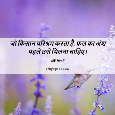 Picture 06 - 2 तीमुथियुस 2:6 HINIRV - जो किसान परिश्रम - Bible Verse Picture