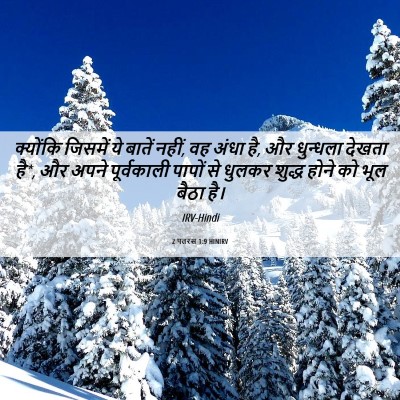 Picture 06 - 2 पतरस 1:9 HINIRV - क्योंकि जिसमें ये - Bible Verse Picture
